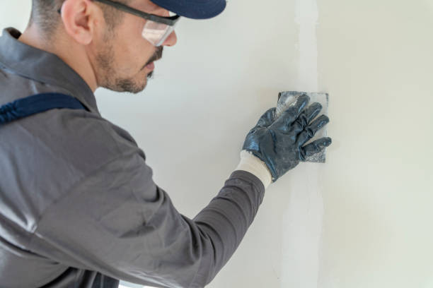 Best Crawl Space Mold Remediation  in Windy Hills, KY