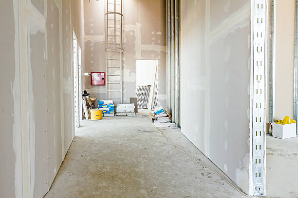 Best Industrial Mold Remediation  in Windy Hills, KY